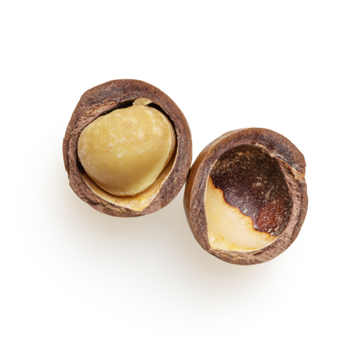 Picture of Macadamia Nuts